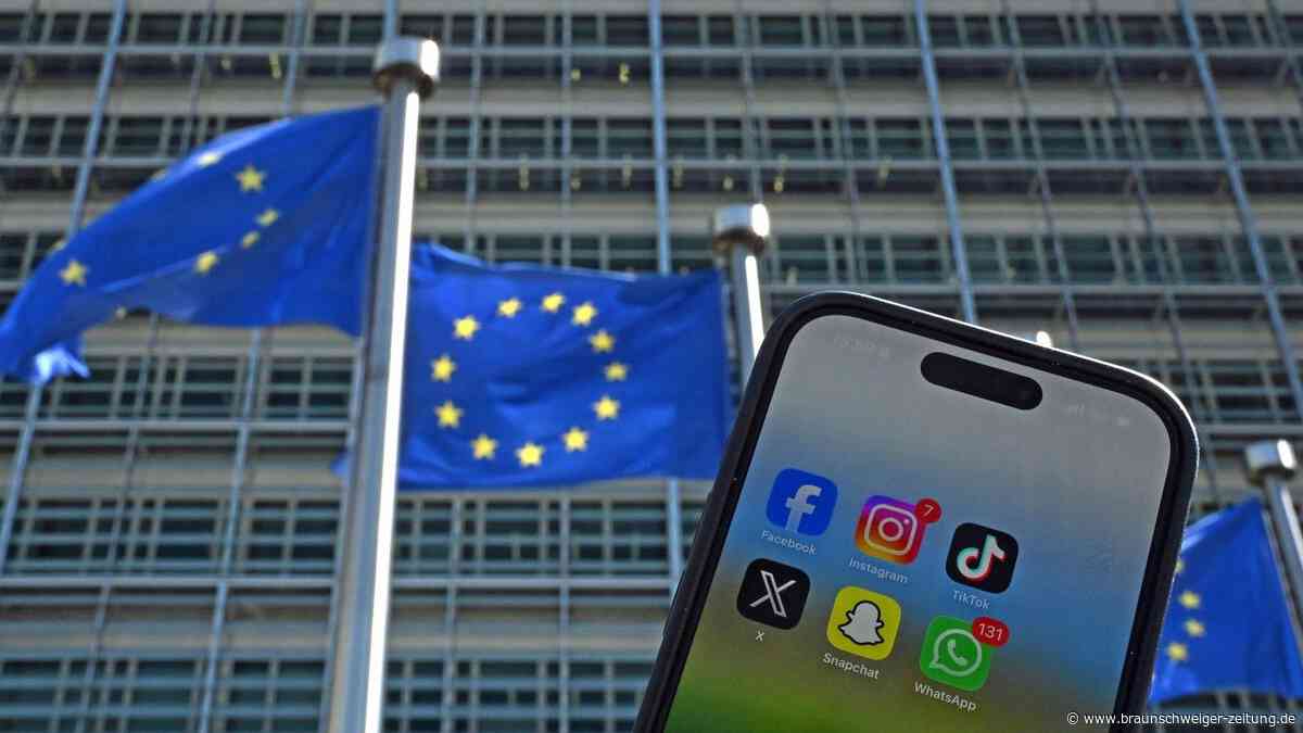 Social-Media-Verbot: Es ist höchste Zeit, Kindern das Handy-Karussell abzudrehen