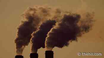 Environment, health groups sue over Trump move to wipe out climate rules for power plants