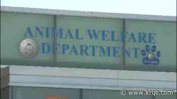 Albuquerque Animal Welfare Department holding volunteer fair