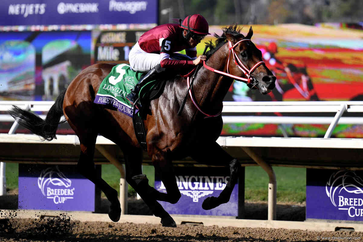 Who is Forever Young? Meet the Japanese star of Belmont's Jockey Club Gold Cup and the richest racehorse in history.