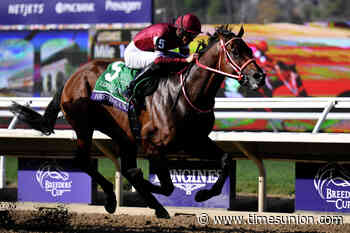 Who is Forever Young? Meet the Japanese star of Belmont's Jockey Club Gold Cup and the richest racehorse in history.