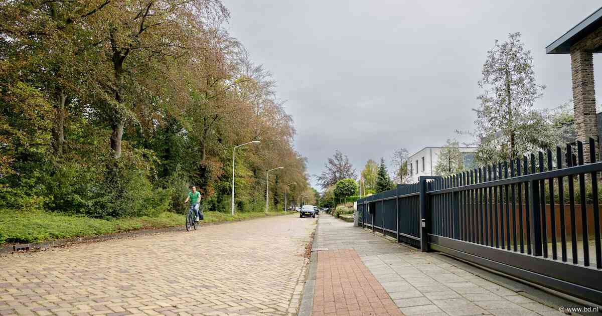 Deel Eindhovenseweg in Best wordt fietsstraat: bomen langs F2-route blijven gespaard