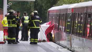 Tödliche Mutprobe? Internet-Trend könnte hinter Hamburger U-Bahn-Drama stecken