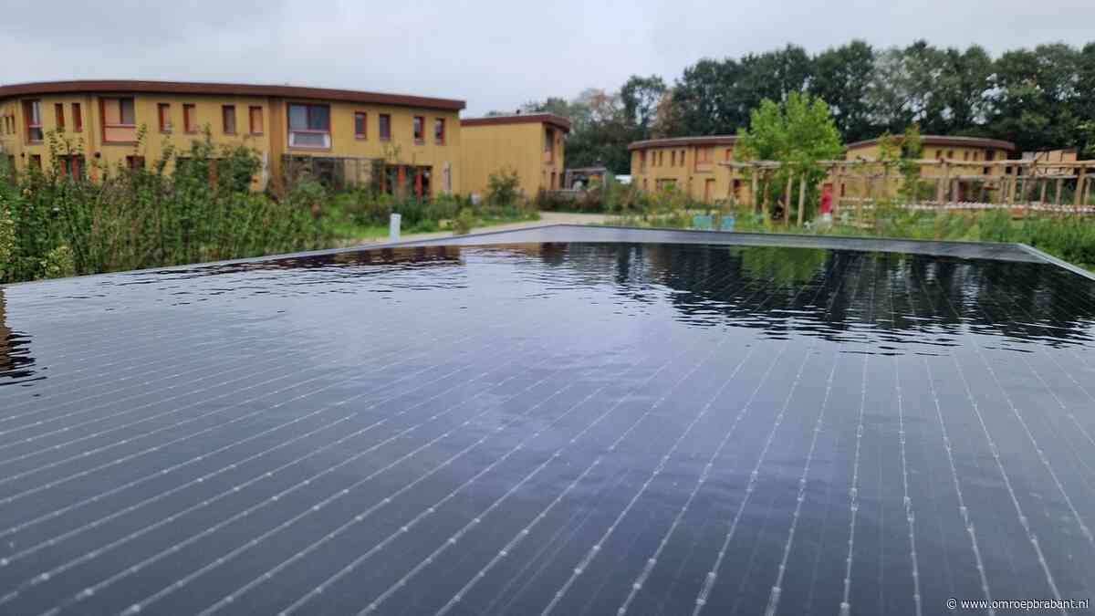 In dit dorp zijn inwoners mede-eigenaar van hun eigen energie