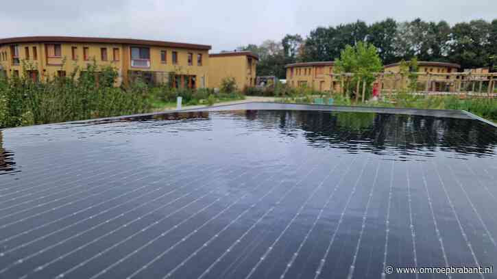 In dit dorp zijn inwoners mede-eigenaar van hun eigen energie