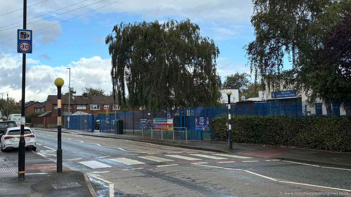 Horrified children look on as lollipop man in his 70s struck by car on school crossing