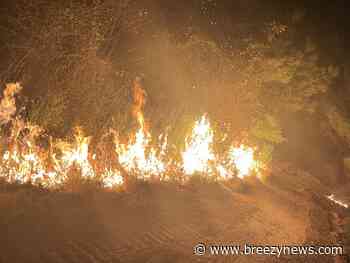 Large Woods Fire Wednesday Evening in Attala