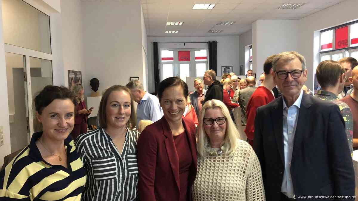 Peiner Kreistag – deshalb schrumpft die AfD ziemlich zusammen