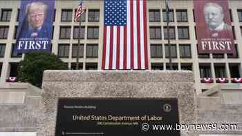 Claims for unemployment benefits drop to 196,000, lowest since mid-July as layoffs remain low