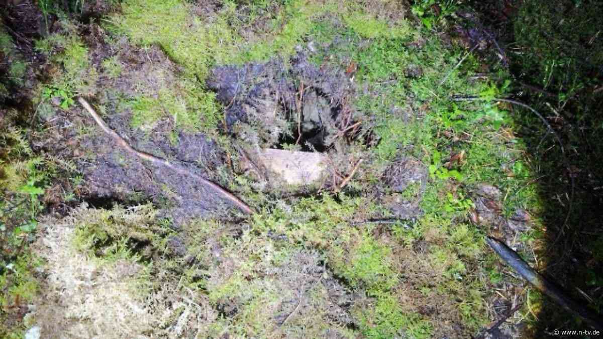 Immer wieder neue Fälle: Litauen entdeckt zwölf Migrantentunnel an seiner Grenze