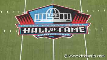 Pro Football Hall of Fame cuts Super Bowl-winning coach and 24 others from selection committee, per report