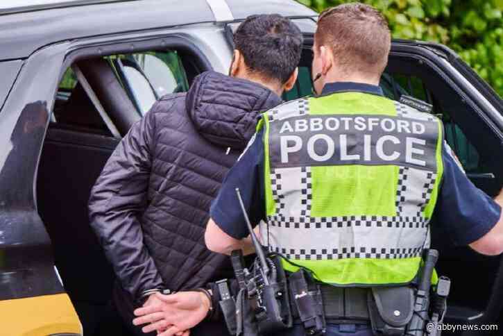 Abbotsford police arrest 16 people in new retail theft project