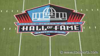 Pro Football Hall of Fame cuts Super Bowl-winning coach and 24 others from selection committee, per report