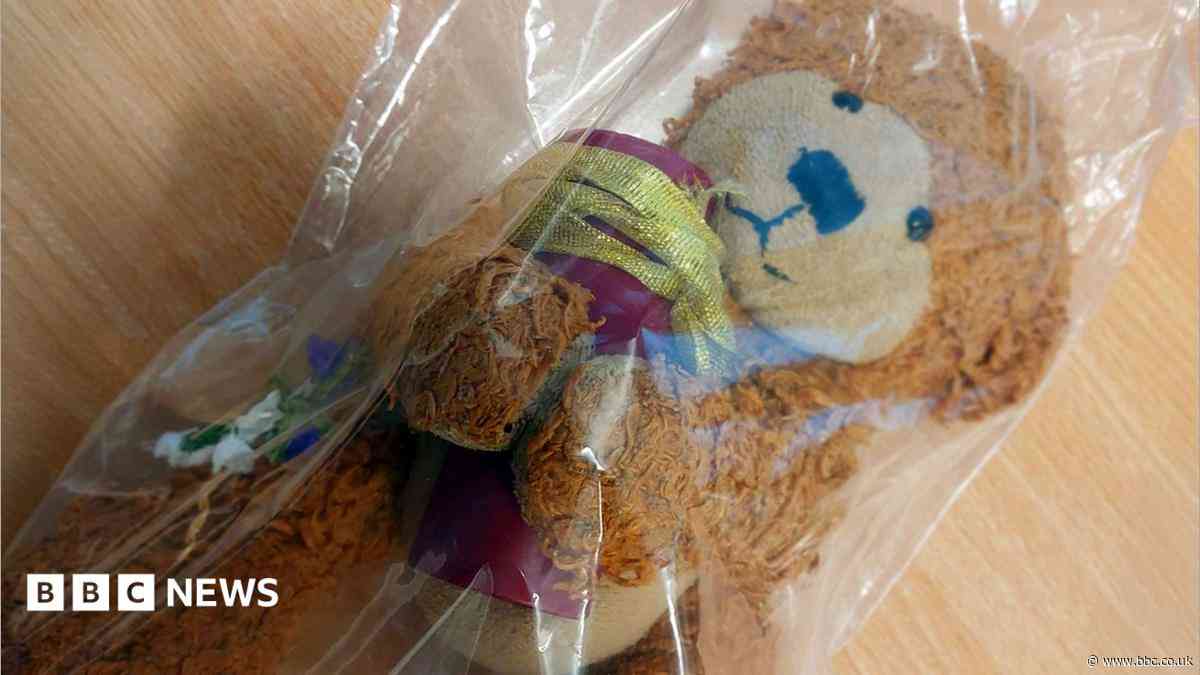 Woman to be reunited with 'much-loved' dog's ashes which lay in lost property for months