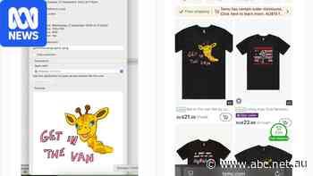 Shirt brand owner shares fix to get thousands of Temu dupes taken down