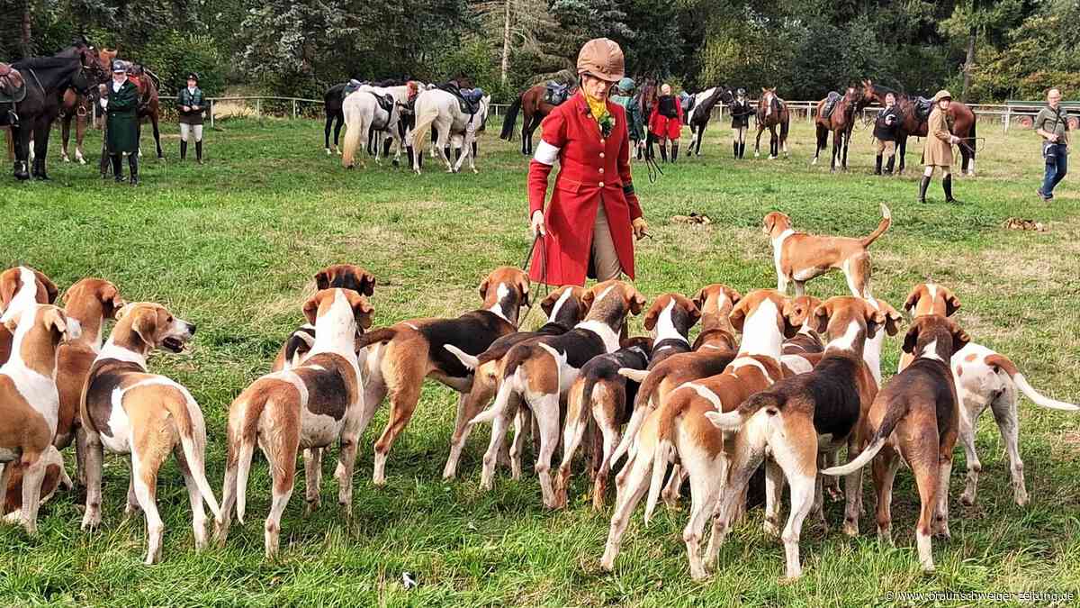 Schleppjagd im Südharz: Ein tierisches Spektakel, das man nicht alle Tage sieht