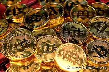 Crypto's Best Days Are Far From Over as 290 People Hold $100M or More and Owners Hit 742 Million
