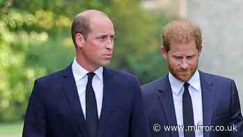 'Earl Spencer's memoir strikes at the King but will also plunge dagger into Diana's sons' hearts'