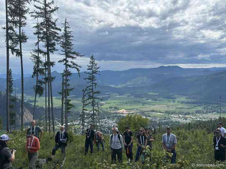 Webinar series to explore big topics in B.C.’s forestry sector
