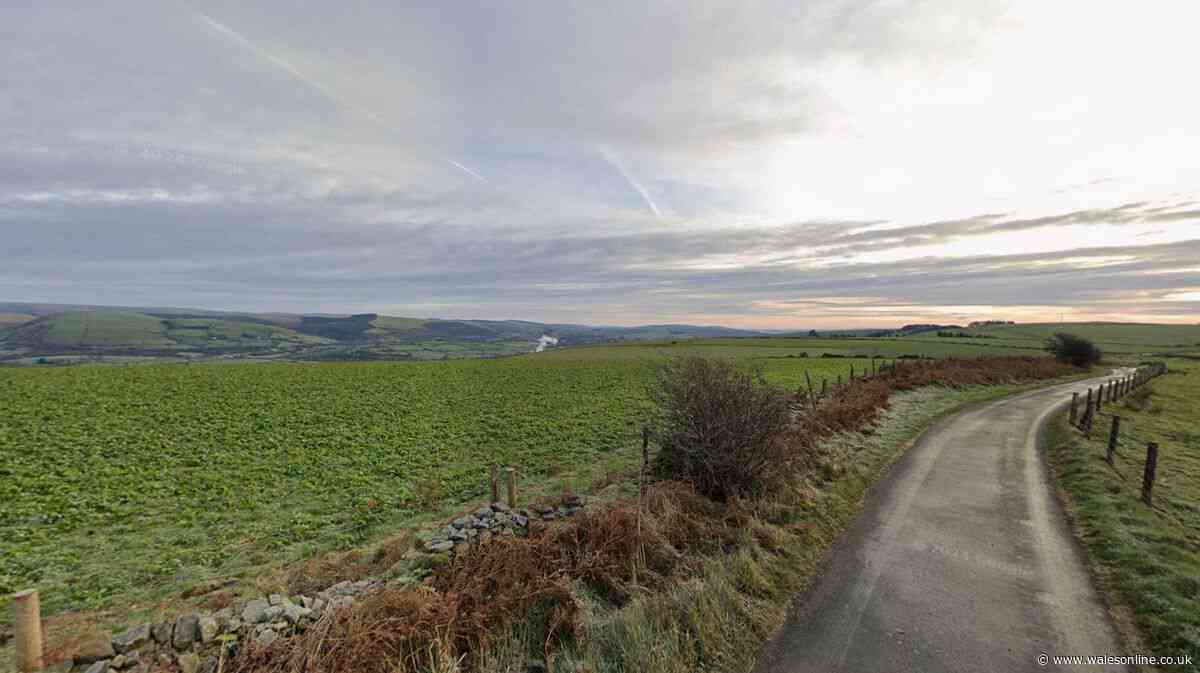 Plans for new energy park with solar farms and wind turbines set for Bridgend