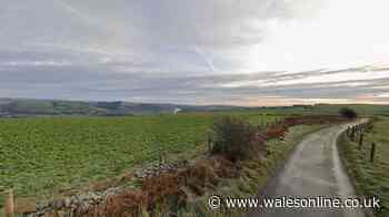 Plans for new energy park with solar farms and wind turbines set for Bridgend