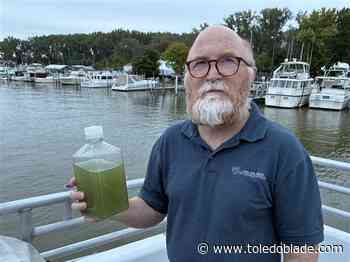 UT med students, experts get firsthand look at Lake Erie algal bloom during its peak