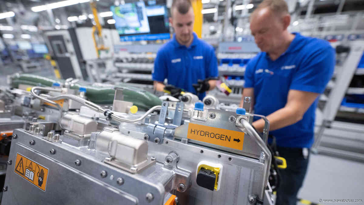 Grote klap voor makers van dure groene waterstof: kabinet beperkt inzet voor Nederlands energiesysteem