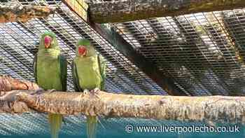 Bid to pause Churchtown aviary closure rejected by Sefton Council