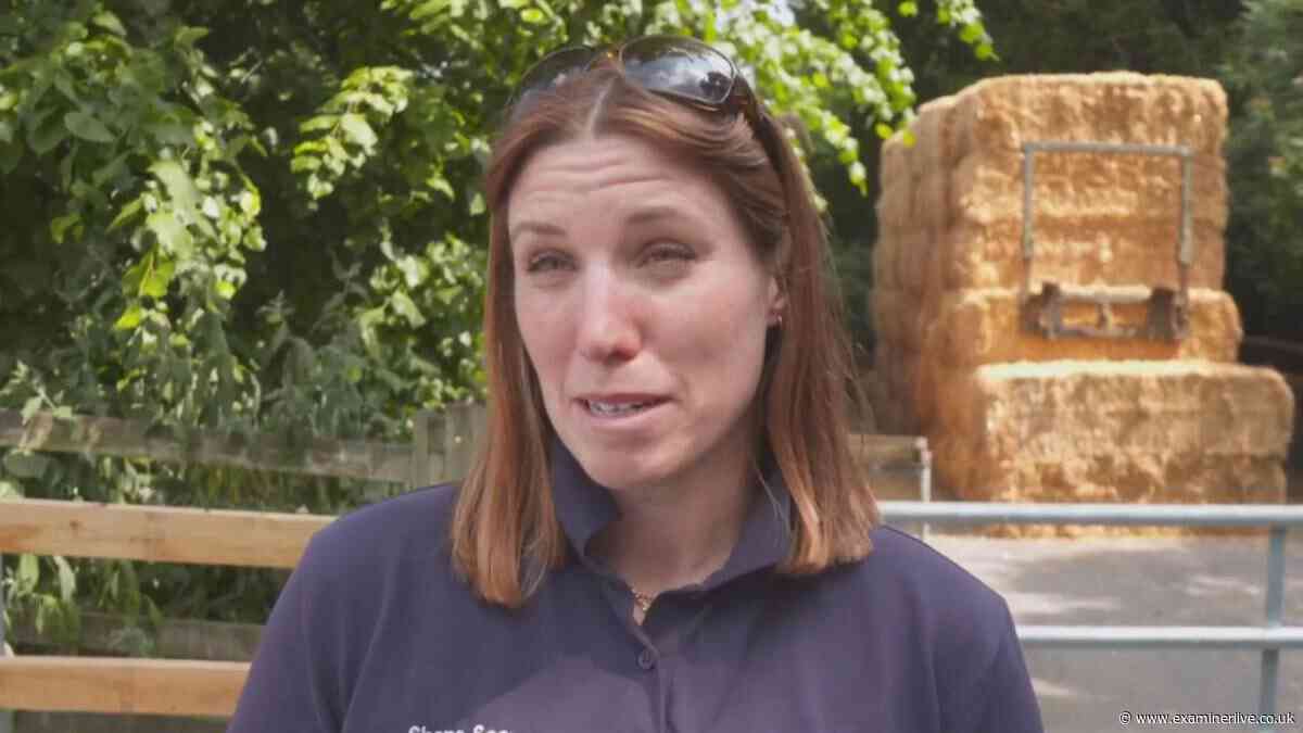 Yorkshire Vet's Barnsley farm shares huge update after 'world turned upside down'
