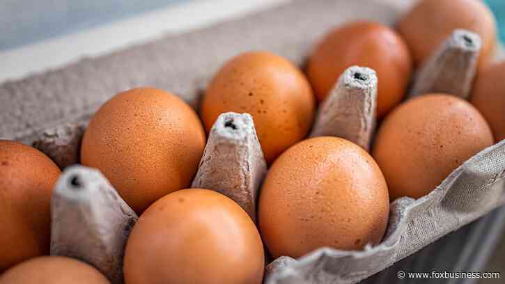 Eggs recalled as salmonella outbreak sickens 23 people