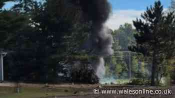 F-16 US fighter jet crashes in field and pilot 'ejects' from plane