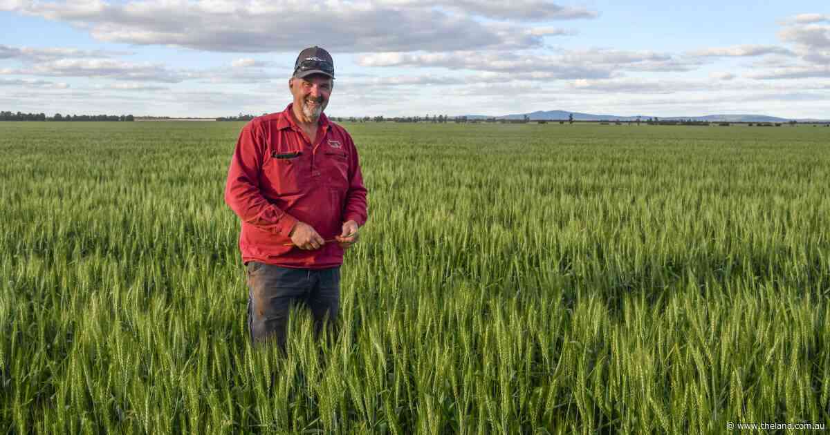 Spreading risk: why these growers bought a road train to market their own grain