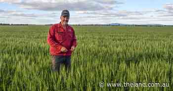 Spreading risk: why these growers bought a road train to market their own grain