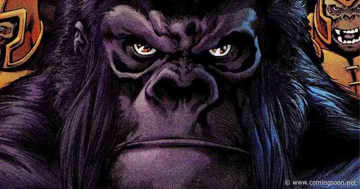 DCU’s Gorilla Grodd TV Show Gets Exciting Filming Update as Star Teases a ‘Very Unique’ Story