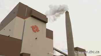 Belledune power plant to transition from coal to wood pellets as fuel