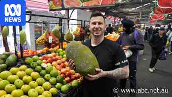 Social media and cultural taste sparks demand for exotic fruits