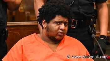 Every tourist's worst nightmare is seen for the first time after allegedly trying to MURDER Australian man minding his own business while enjoying meal at NYC McDonald's