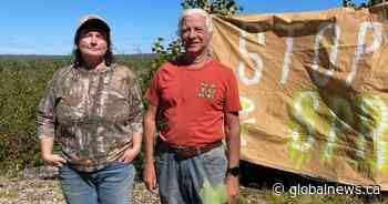 Bear River, N.S. residents raise concerns over planned aerial glyphosate spraying