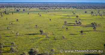 Black soil Barwon Vale presents with significant upside | Video