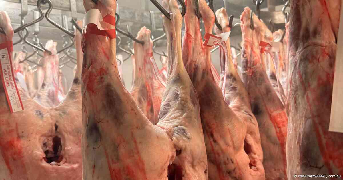 'A win for the Mid West': meatworks to triple sheep processing capacity