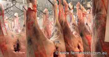 'A win for the Mid West': meatworks to triple sheep processing capacity