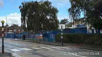 Elderly lollipop man struck by car on crossing in front of primary school pupils