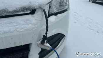 Court pulls plug on Winnipeg man's challenge of traffic ticket for placing extension cord across street
