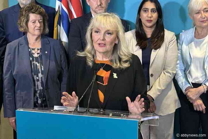 B.C. Conservative party official allegedly hired private investigator to scrutinize MLAs