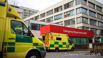 Hospital horrors as patients died and others deteriorated during sweltering 44C heatwave