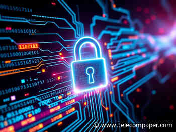 DDoS attack targets Meo's international network