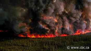 B.C. expediting forestry reviews in Fort St. John, Fort Nelson after 'catastrophic' wildfire losses