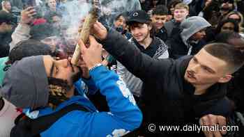 It's still illegal yet the police simply don't seem to care why the whole country stinks of weed: PETER HITCHENS