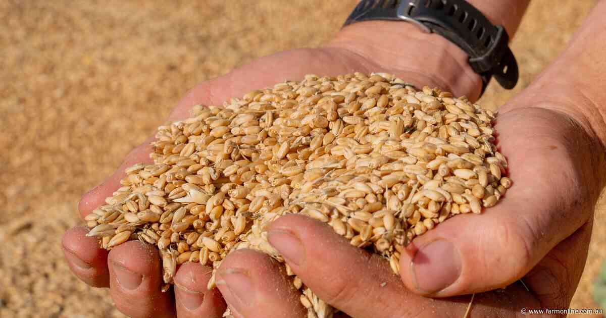 Market lessons: what your grain contract's tolerance clause really means