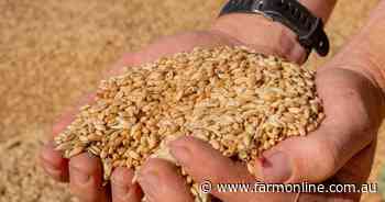 Market lessons: what your grain contract's tolerance clause really means